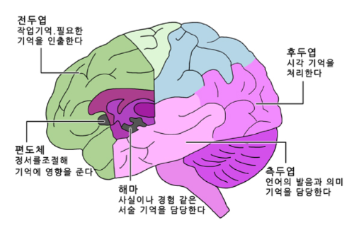 작업기억그림1.PNG